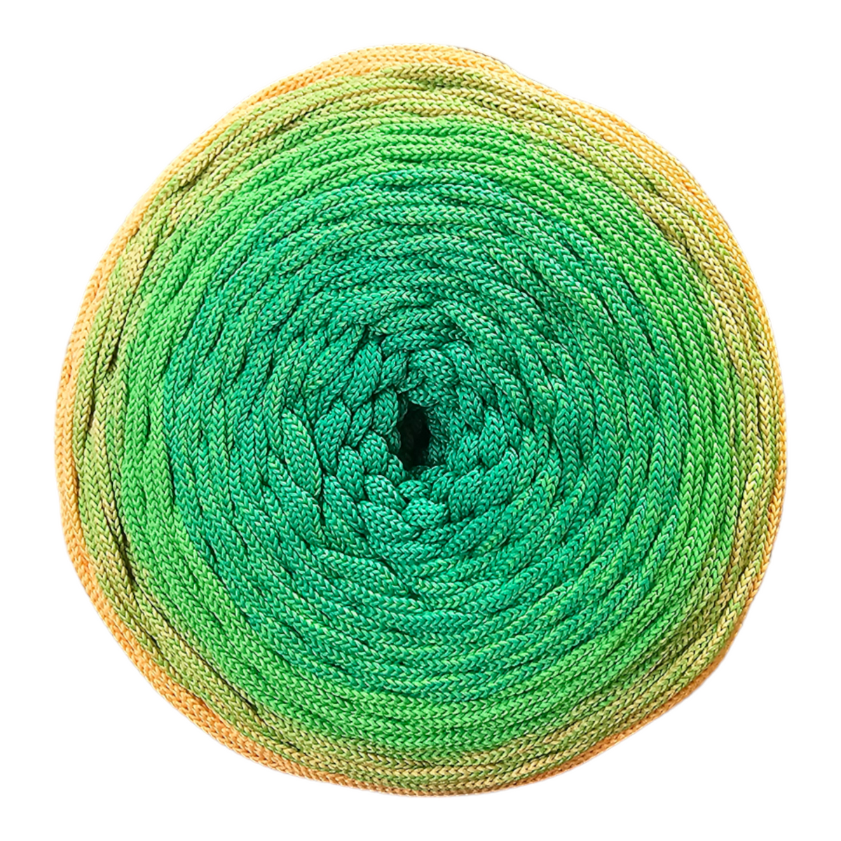 Ombre Poliéster flat string 5mm